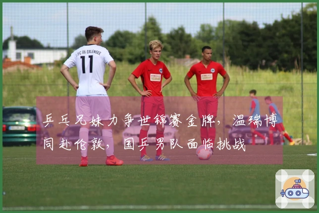 乒乓兄妹力争世锦赛金牌，温瑞博同赴伦敦，国乒男队面临挑战