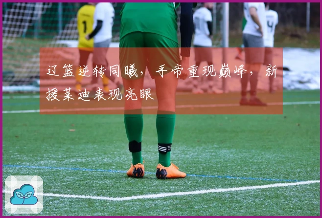 辽篮逆转同曦，手帝重现巅峰，新援莱迪表现亮眼
