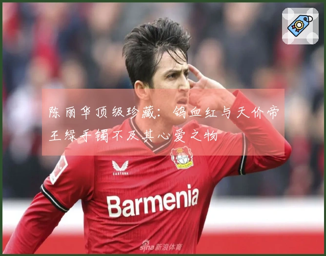 陈丽华顶级珍藏：鸽血红与天价帝王绿手镯不及其心爱之物